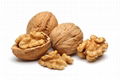 Organic Raw Walnuts in Shell Walnut Kernels 2