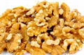 Organic Raw Walnuts in Shell Walnut Kernels 3