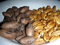 Organic Pecans (Raw, No Shell) 3