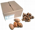 Organic Pecans (Raw, No Shell) 4