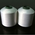 FDY 50D/800TPM For WARP YARN 2