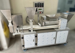 FJJ-003 Tapioca wedges machine, Tainan