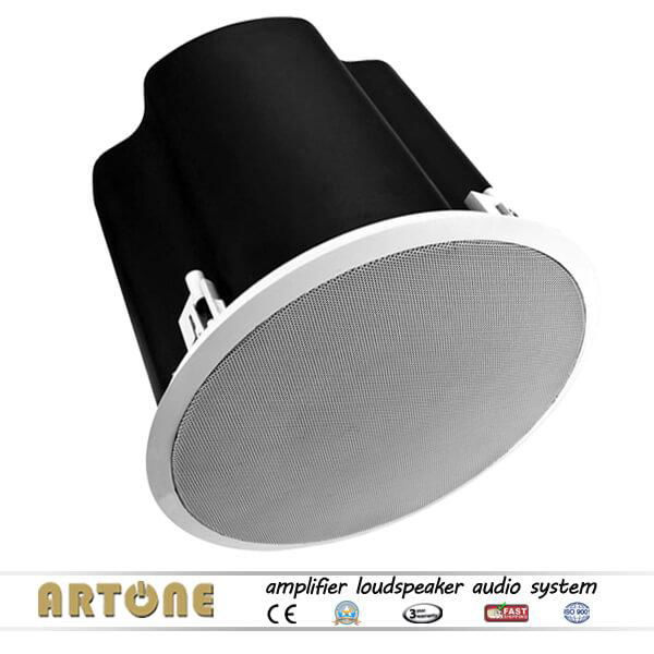 Subwoofer In Ceiling Speaker 10 inch ARTONE Commercial Audio CS-910 2