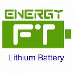 Zhuhai Future Energy Technology Co.Ltd Zhuhai Future Energy Technology Co.Ltd