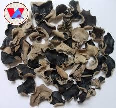 Black fungus