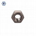 ASTM A194 2HM Heavy Hex Nuts 1