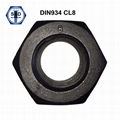 DIN934  Hex Nuts