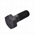 Structural Heavy Hex Bolts ASTM A490 1