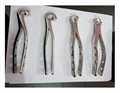 Dental Extracting Forceps 1
