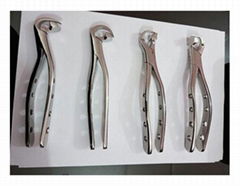 Dental Extracting Forceps