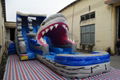 5006317- Inflatable Amusement Park Large Adult Inflatable Shark Water Slides for 2