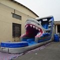 5006317- Inflatable Amusement Park Large Adult Inflatable Shark Water Slides for