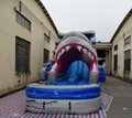 5006317- Inflatable Amusement Park Large Adult Inflatable Shark Water Slides for 3