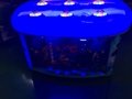 Blue Guy's2 IPLAY Coin Operated Video Button Hitting Games