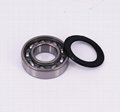 6002-2RS Double Seals Miniature Ball