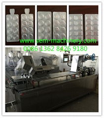 DPP-250 Automatic Blister Packing Machine
