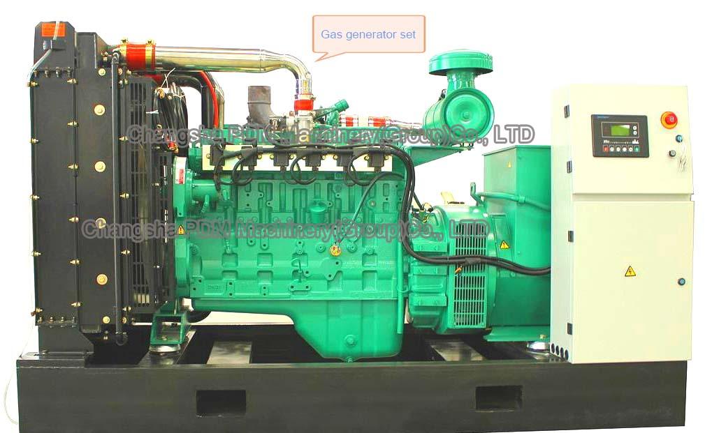 Cummis CAT MTU VOLVO PERKINS Diesel Generator 4