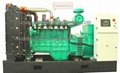 Cummis CAT MTU VOLVO PERKINS Diesel Generator 4