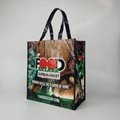 Laminated shopping bag Edge to Edge printing shopping bag Adertising bag