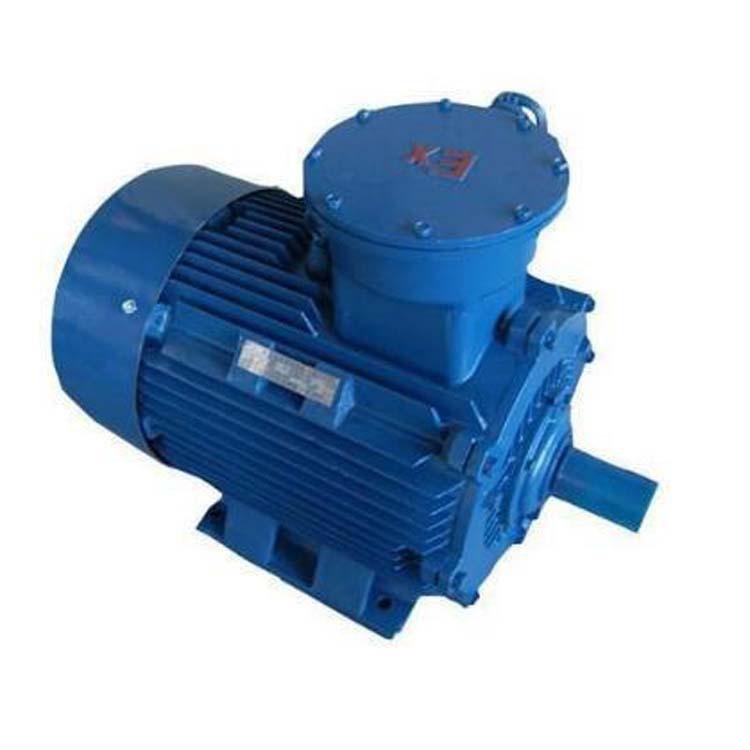 Environment-friendly dust explosion-proof motor can customize explosion-proof  3