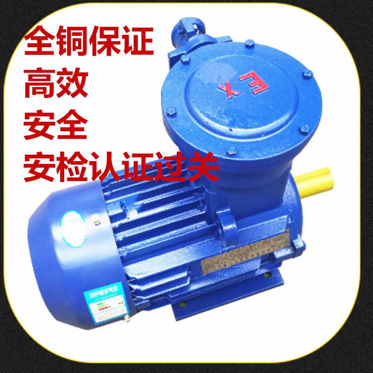 Environment-friendly dust explosion-proof motor can customize explosion-proof  5