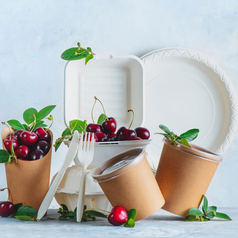 DISPOSABLE PAPER CUTLERY