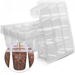 Transparent Plastic Plant Propagator Seed Trays 12 Cells Seedling Starter