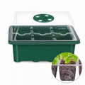 Free Sample Multifunctional 6 Cells Vegetables Microgreen Seed Compartment Tray 