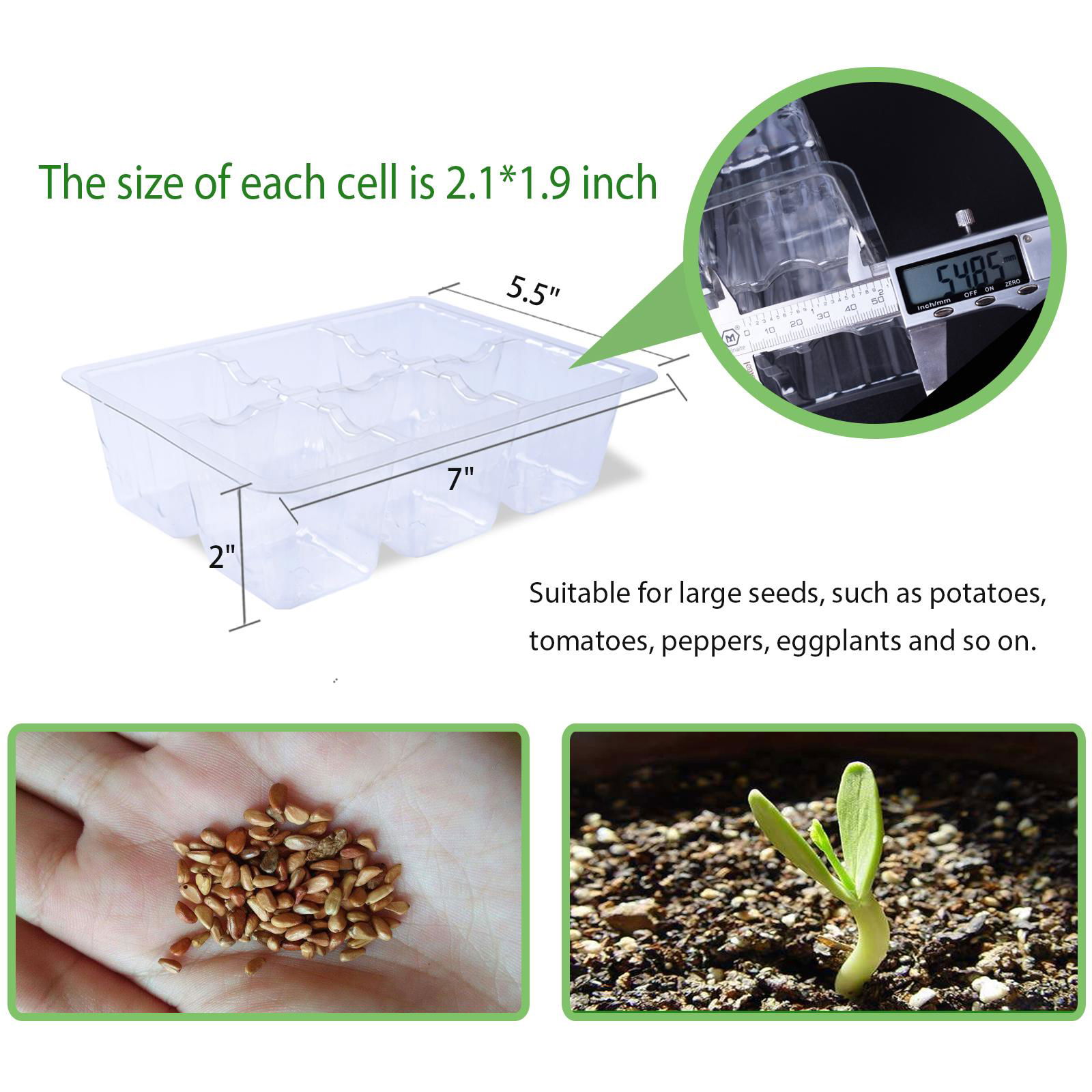 Free Sample Multifunctional 6 Cells Vegetables Microgreen Seed Compartment Tray  4