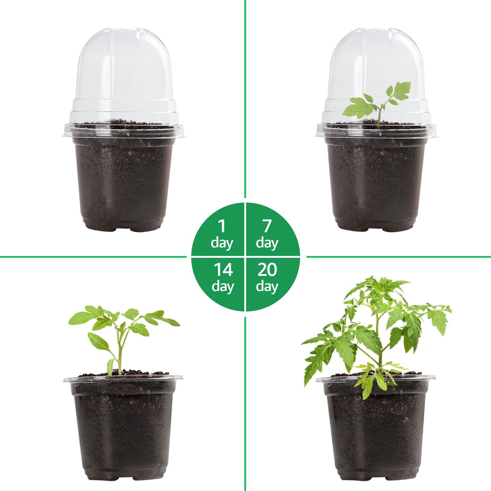 4 Inch Clear Nursery Smart Pots With Drainage Hole Flower Seeding Pot  5