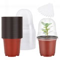 Plant Nursery Pot Transparent Plastic Planter with Drainage Hole Cup 