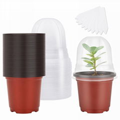 Plant Nursery Pot Transparent Plastic Planter with Drainage Hole Cup 