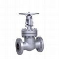 ANSI Class 600 stainless steel gate valve