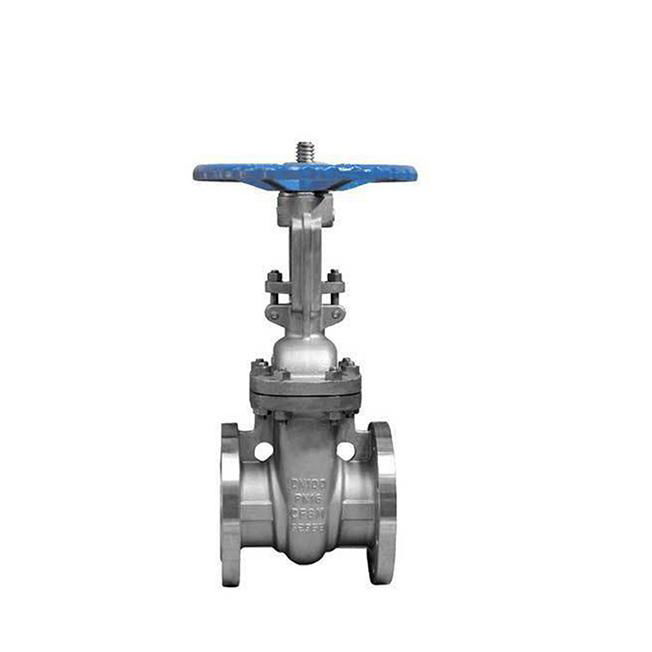 DIN PN16 stainless steel flanged gate valve
