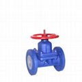 PTFE lined diaphragm valve G41F 1