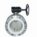 PTFE Full lined flanged butterfly valve D341F