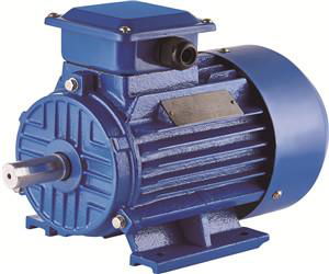 Y3 Electric Motor Three Phase Alternating Motor