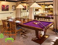 Billiards Pool Table with Stylish Wood
