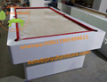 Coin Billiard Table with Competitve Price  1