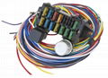 12 circuit Universal Wiring Harness kit