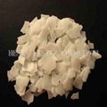 Glycerol Monostearate 40%