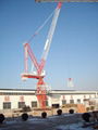  lifting equipment rental and sale luffing crane for building and civil engineer 4