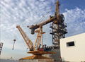 Derrick crane on roof WD80 8t for demolition tower cranes in Singapore