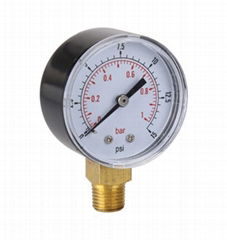 standard pressure gauge