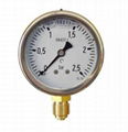 Liquid Filled Pressure Gauge 1