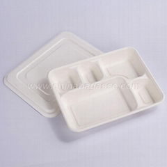 Sugarcane Lid For 5 Compartment Deep Tray