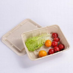 1200ml 2Com Rectangle Sugarcane Container