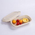 Eco Friendly 750ml Disposable Bagasse Container 1