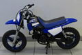 Popular New Kids Super Motocross Dirt Bike PW50 