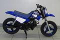 Popular New Kids Super Motocross Dirt Bike PW50 